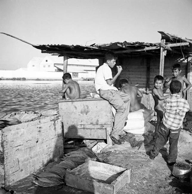 Boys and fish boxes at the bank of the Rio Manzanares (Мальчики и рыбные ящики на берегу Рио-Мансанарес), 1966