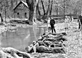 Boys drinking from creek / Мальчики пьют из ручья