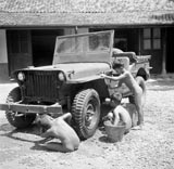 Inlandse jongens bezig met het wassen van jeep / Местные мальчики моют джип