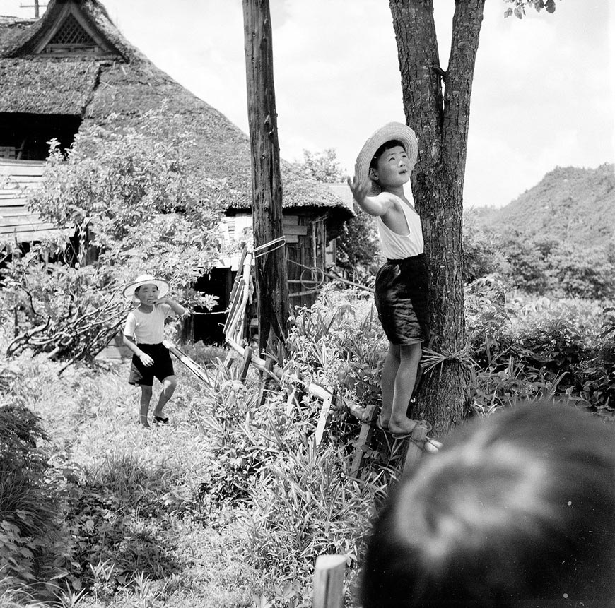 Boys in Hats & Tree (Мальчики в шляпах и дерево), 1950s