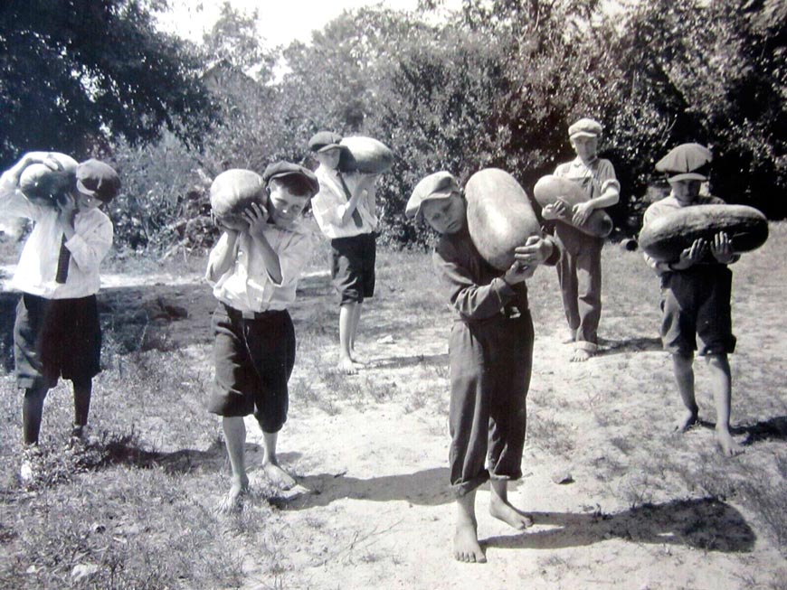 Boys Picking Giant Watermelons (Мальчики собирают гиганские арбузы), 1920s