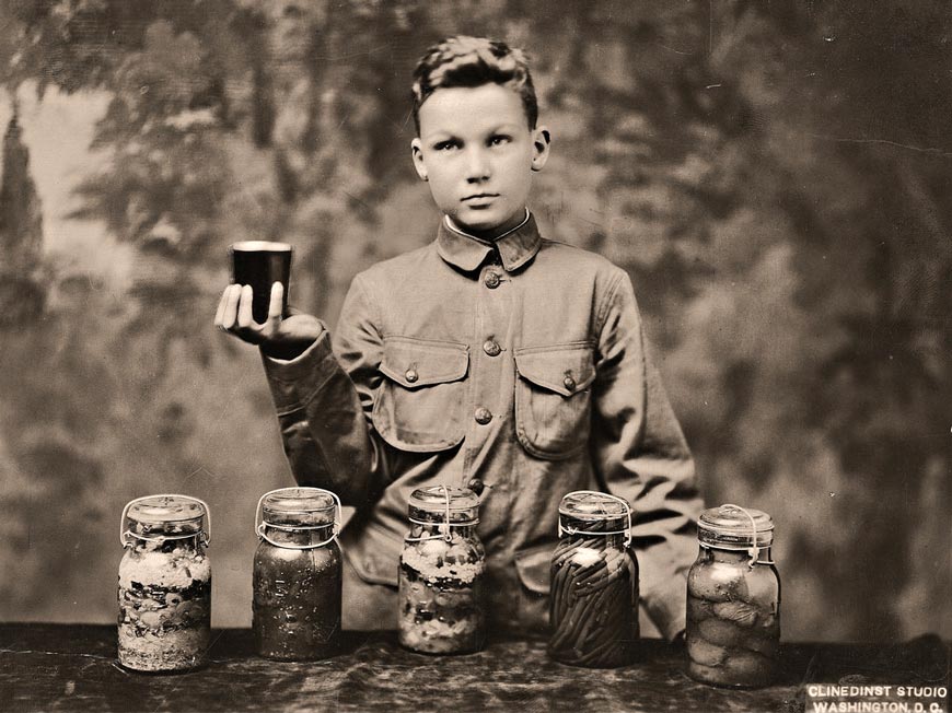 Francis King, Boy Scout, who has signed the U.S. Food Administration pledge and canned the produce of his garden (Фрэнсис Кинг, бойскаут, подписавший обязательство Управления по контролю за продуктами питания США и законсервировавший продукцию своего сада), 1917