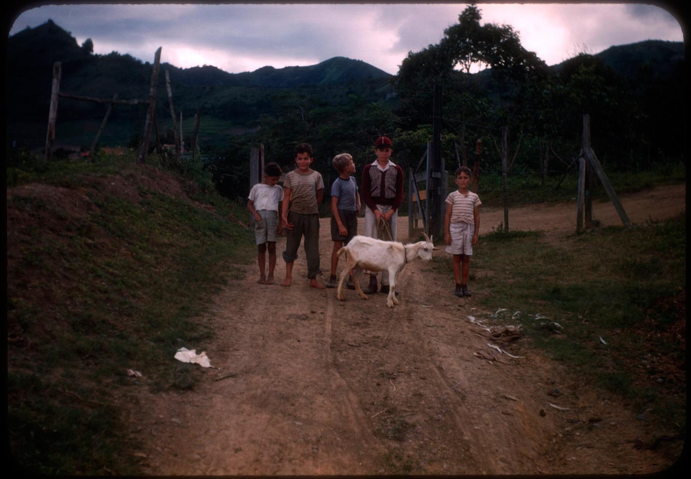 Boys and the goats (Мальчики и козы), 1945/46