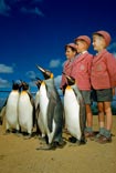 Boys dressed up in school uniforms pose with king penguins / Мальчики