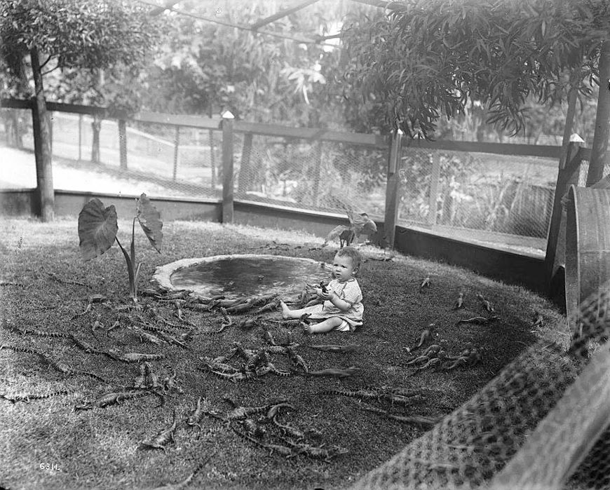 A boy plays among alligators (Мальчик играет среди аллигаторов), c.1907
