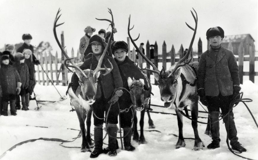 Lapp children, reindeer (Дети саамов, олени), 1930s