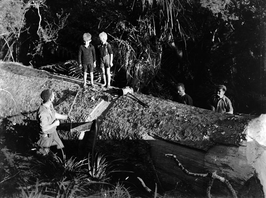 Men cutting kauri tree with children watching (Мужчины рубят дерево каури под наблюдением детей), 1940s