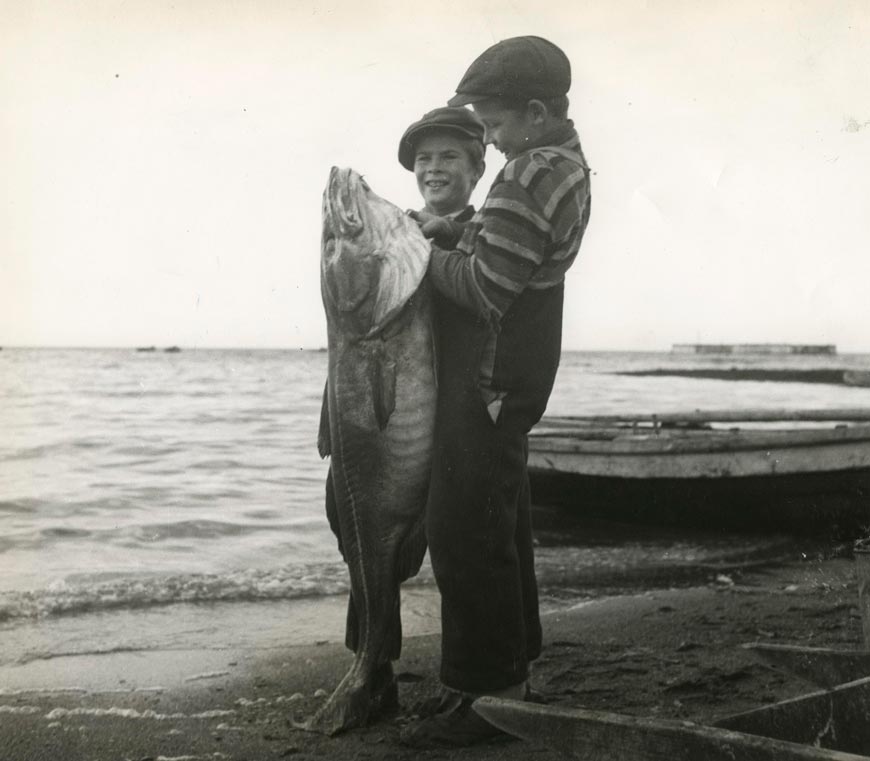 Hooking a big cod fish near Gascons (Поимка большой трески недалеко от Гаскона), 1943