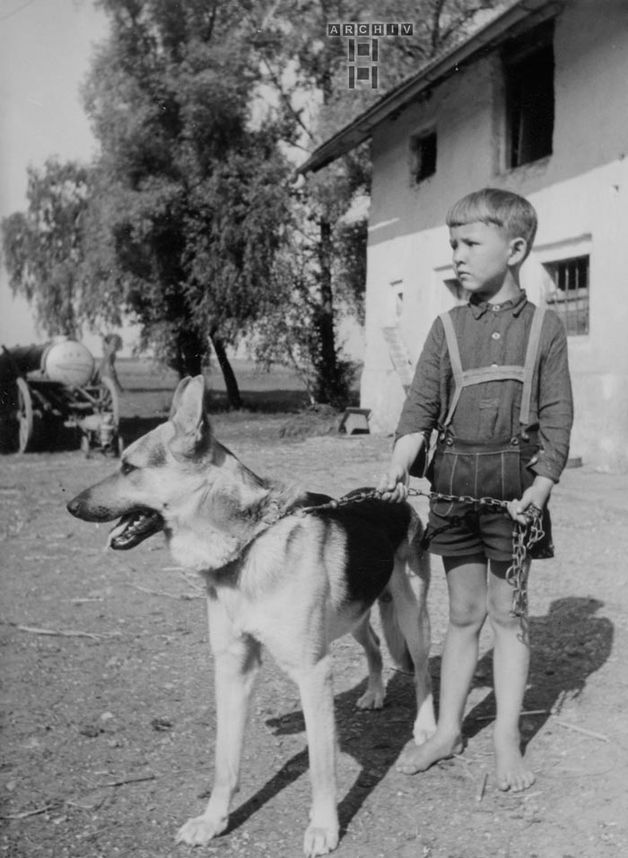 Junge mit Schäferhund (Мальчик с немецкой овчаркой), 1950s