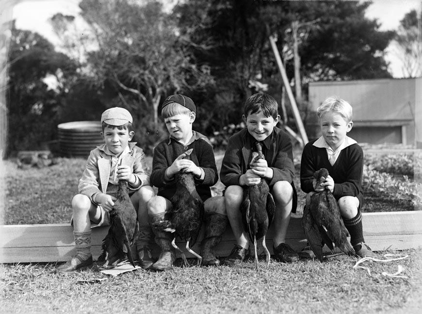 Untitled / Four boys seated with dead Pukeko (Без названия / Четыре мальчика, сидящие с мёртвыми пукеко)