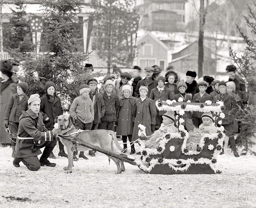 Midwinter carnival, children's parade with dog sled (Зимний карнавал, детский парад с собачьей упряжкой), 1909