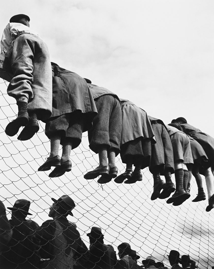 At the dog races (Собачьи бега), 1934