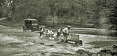 Boys playing in Rock Creek Park / Мальчики, играющие в Рок-Крик-Парк