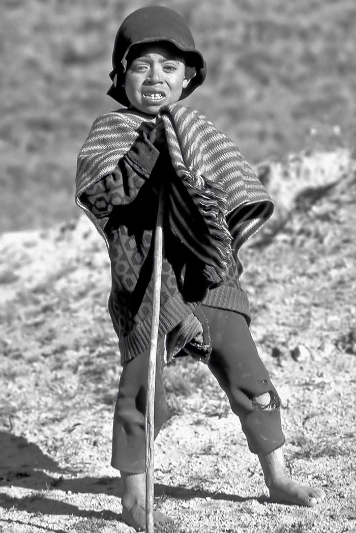 Shepherd Boy (Пастушок), 1979