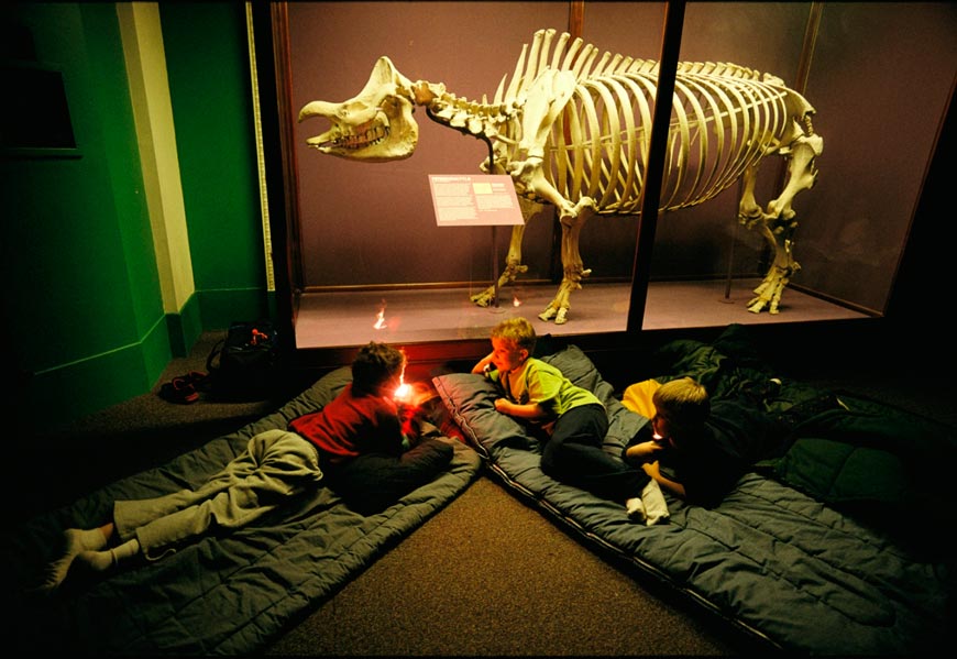 Children spend the night in sleeping bags in the museum (Дети проводят ночь в спальных мешках в музее)