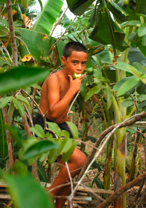 Niños de la Sierra Maestra (Дети Съерры-Маэстра), 2010