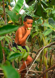 Niños de la Sierra Maestra (Дети Съерры-Маэстра), Cuba