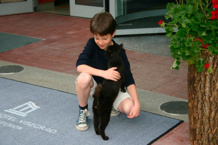 [Boy with cat / Мальчик с котом], 2011