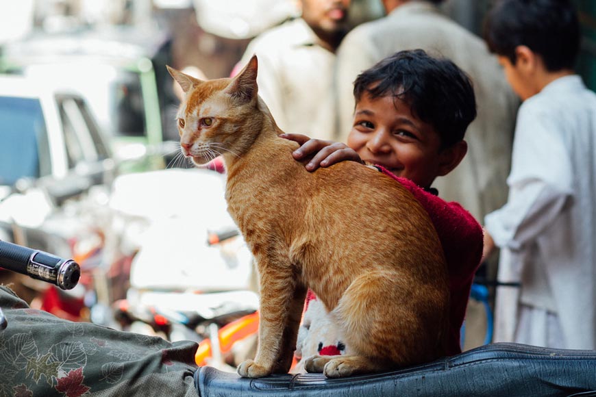 Boy with cat (Мальчик с котом), March 2020