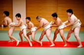 Komatsuryu sumo club / Клуб борьбы сумо Коматсурио