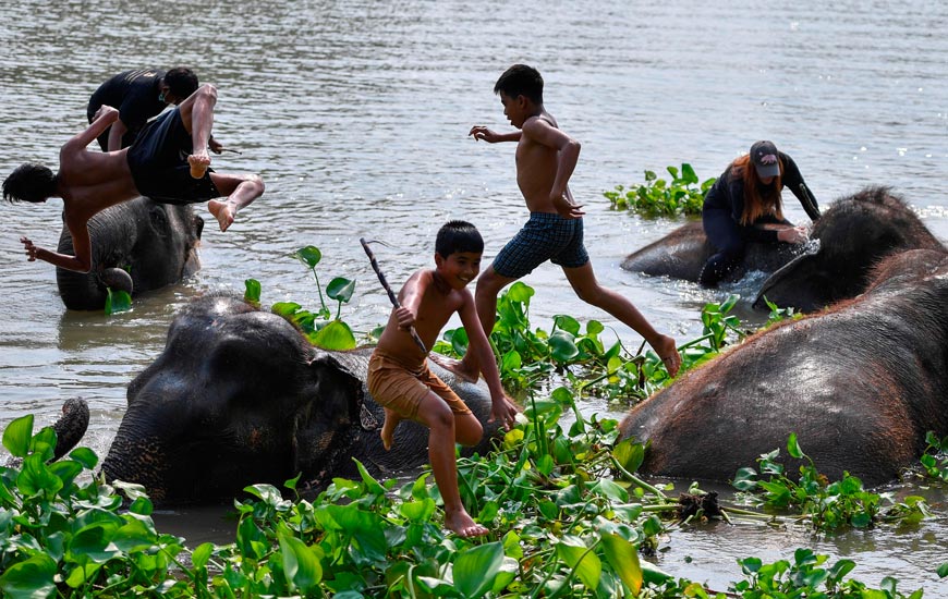 Young mahouts play with elephants in the Chao Phraya River after the celebrations of Thailand's National Elephant Day (Юные погонщики играют со слонами в реке Чао Прайя после празднования Национального дня слонов в Таиланде), March 2021 