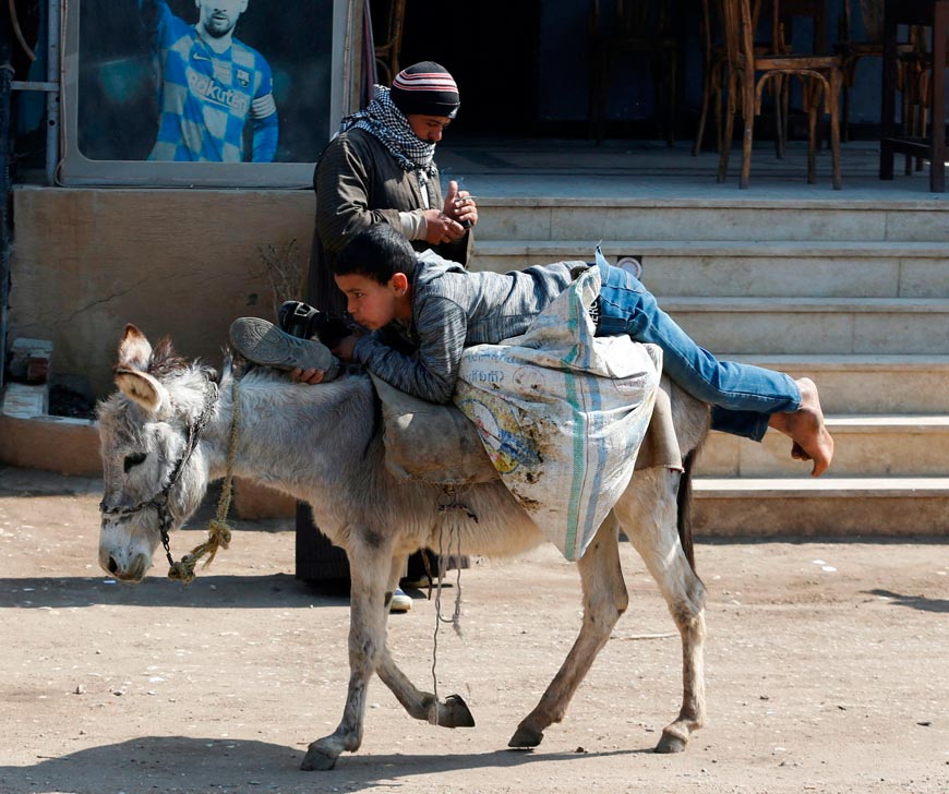 An Egyptian boy rides his donkey (Египетский мальчик едет на своем ослике), February 2022