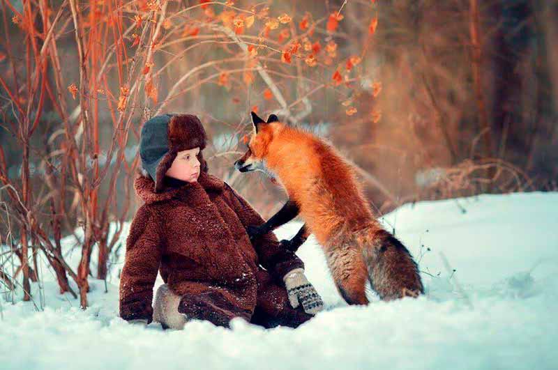 Untitled/A boy and a fox (Без названия/Мальчик и лис)