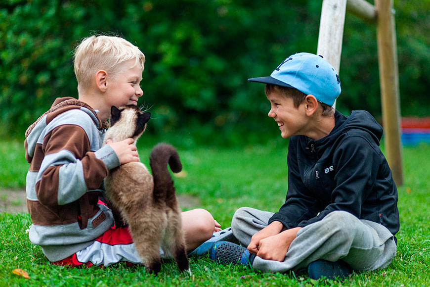 Two boys with a cat (Два мальчика с котом)