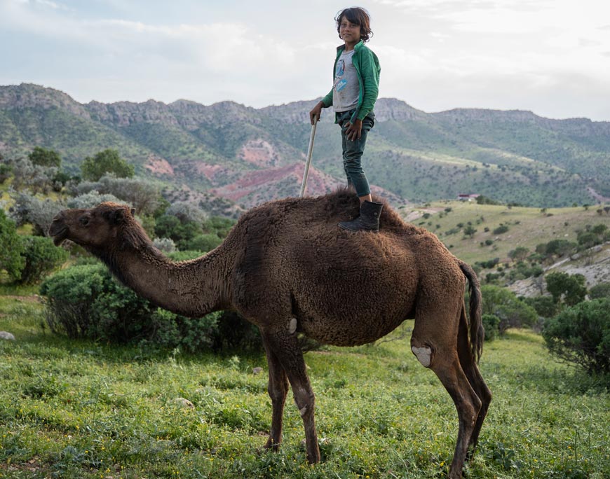 A boy is seen on a camel (Мальчик смотрит с верблюда), May 2022