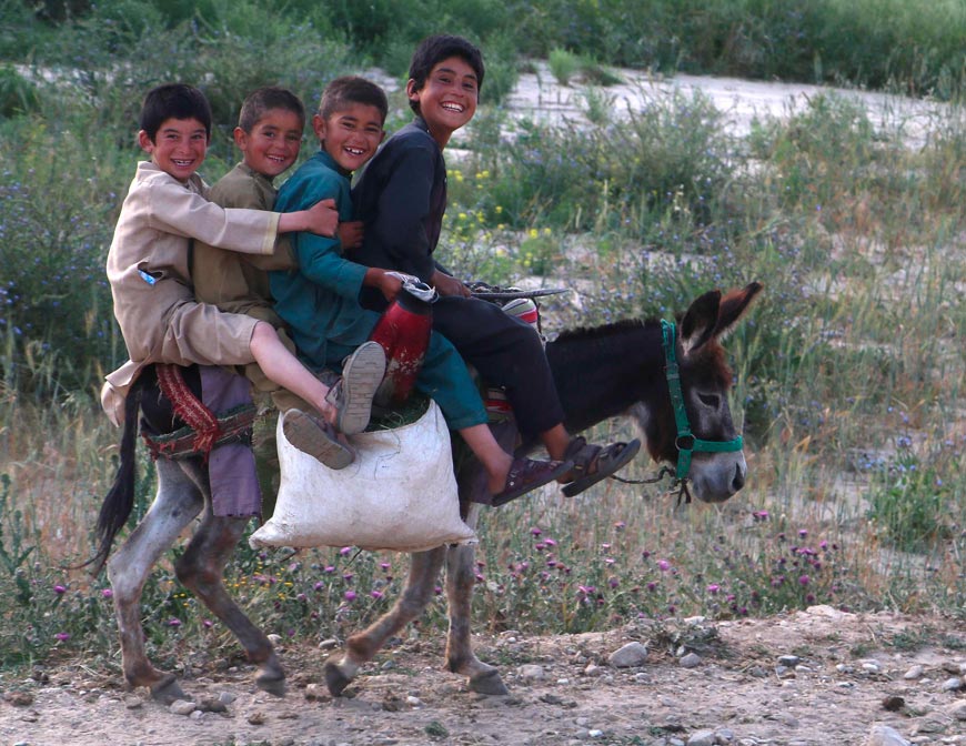 Afghan boys ride a donkey along a street (Афганские мальчики едут на осле по улице), 2024