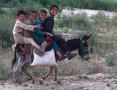 Afghan boys / Афганские мальчики