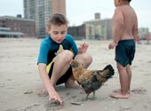 A boy and his pet chicken / Мальчик и его домашний цыплёнок