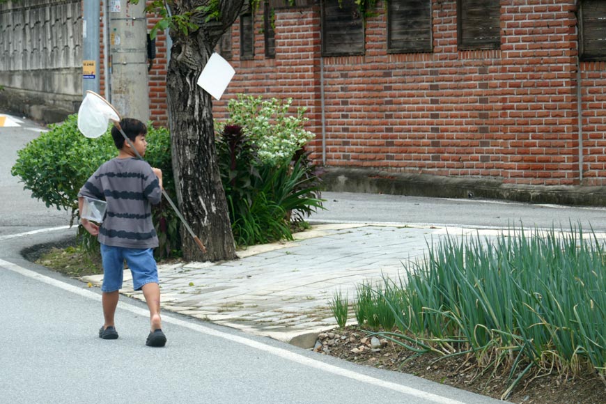 A boy with a butterfly net (Мальчик с сачком для ловли бабочек), 2025