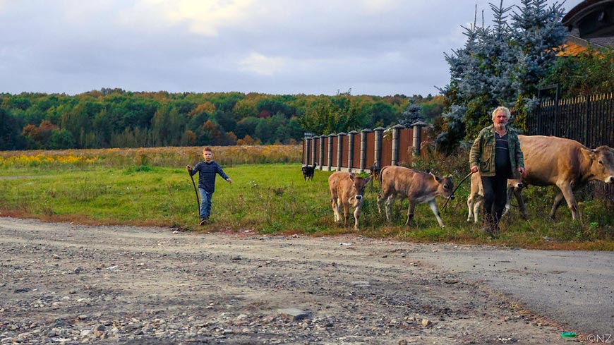 Pastorale (Пастораль), 2025