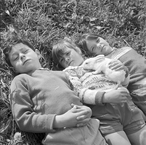 Llangefni children enjoying the sun with their pet rabbit (Дети Ллангефни наслаждаются солнцем со своим домашним кроликом), 1964