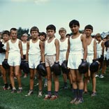 Без названия