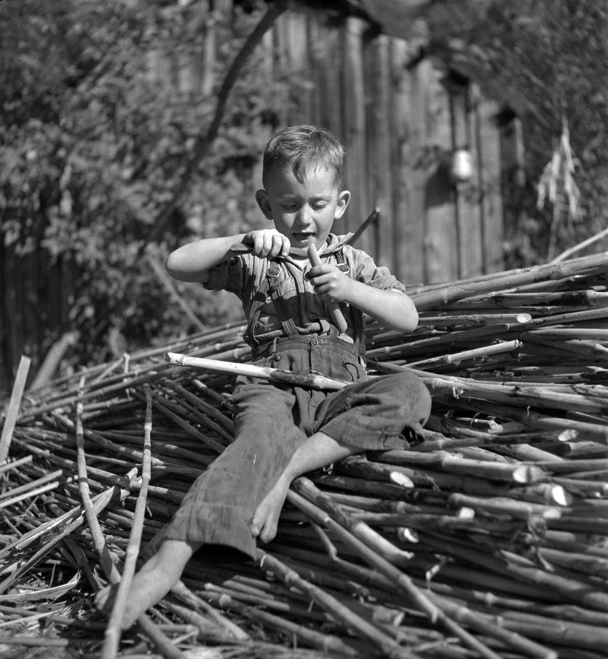 Scraping out sorghum (Обскабливание стебля сорго), 1940s