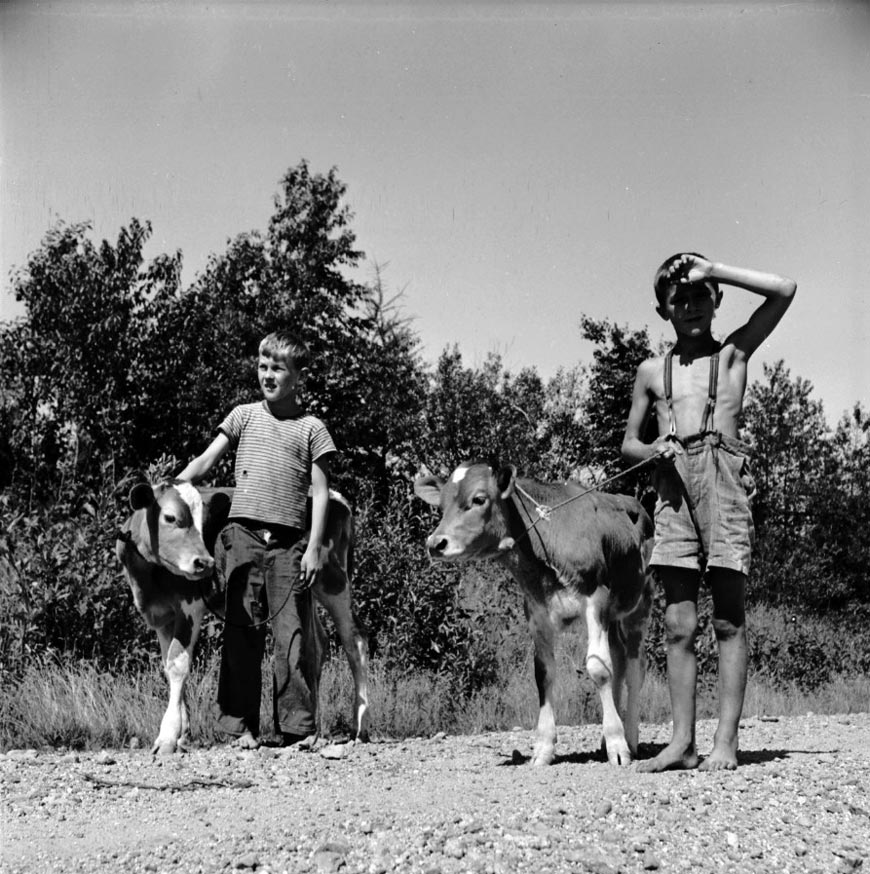 South Range boys on road near John Marshall's mill (Мальчики из Соут-Рэндж на дороге возле мельницы Джона Маршалла), August 1950