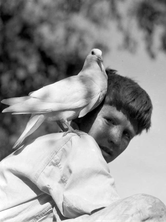 One of the Partridge Twins with Pidgeon (Один из близнецов Патриджей с голубем), 1929