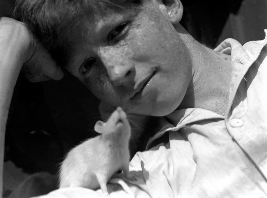 Pad and the White Rat (Пэд и белая крыса), 1930