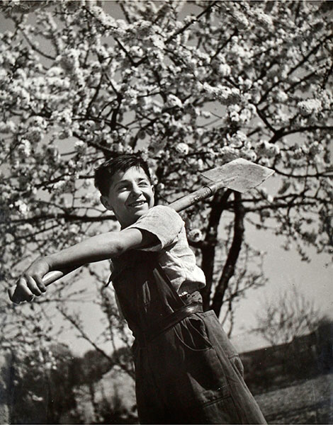 Spring Joy (Весенняя радость), c.1950