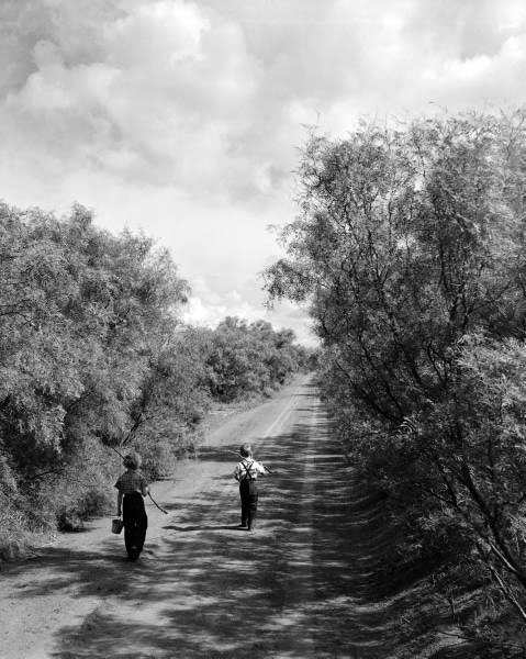 Going Fishing (На рыбалку), 1952