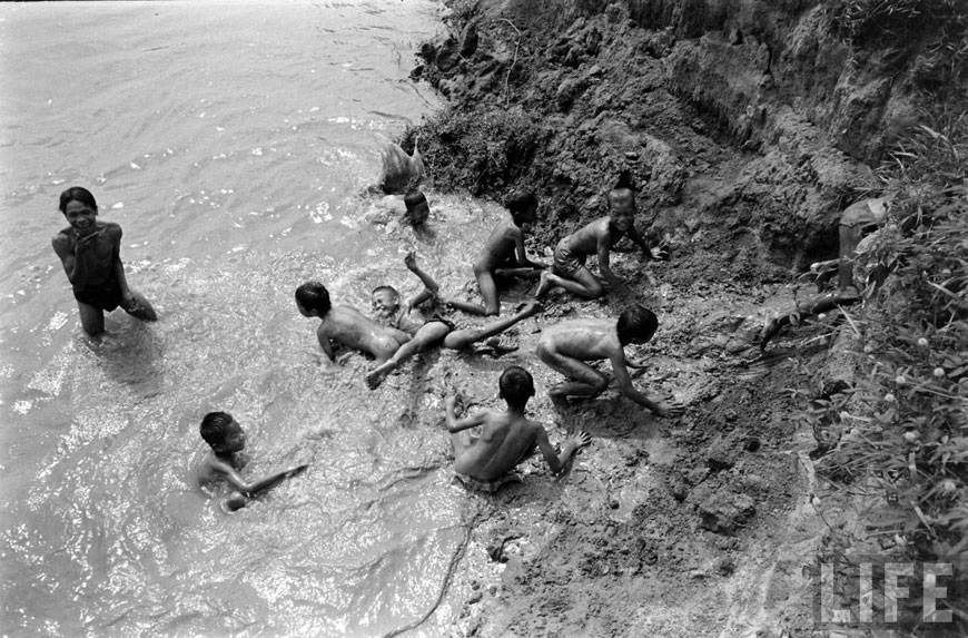 Water Buffalo Boy (Мальчики с водяными буйволами), 1956