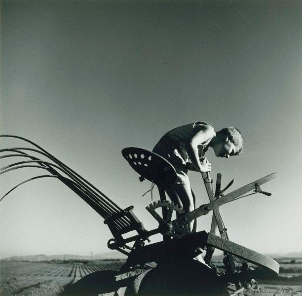 Curious boy on tractor (Любопытный мальчик на тракторе), 1952