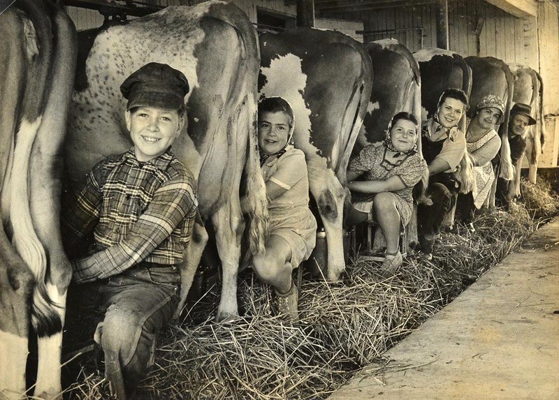 Untitled / Milking Time (Без названия / Время дойки), 1940-1950s