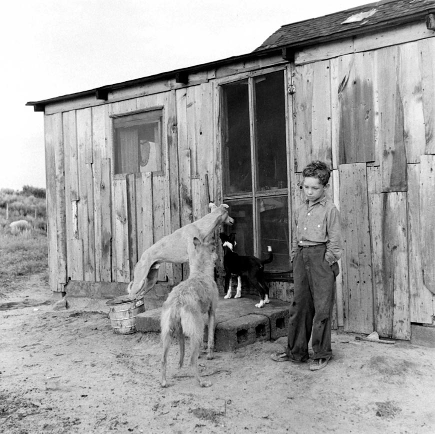 A boy and his dogs on a farm (Мальчик и его собака на ферме), 1942