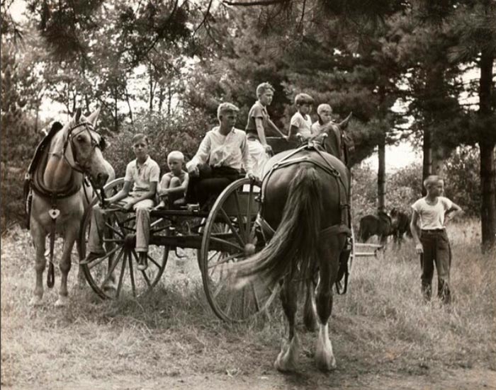 Local boys atop wagon used in the weight pull competition, at the North Conway Summer Festival & Horse Show (Местные мальчишки на повозке, используемой в соревнованиях по перетягиванию тяжестей, на летнем фестивале и конном шоу в Норт-Конвее), 1938