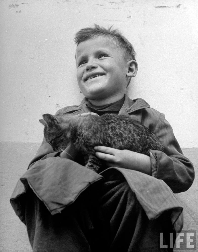 Greek partisan child holding a cat (Ребёнок греческого партизана с кошкой), 1948