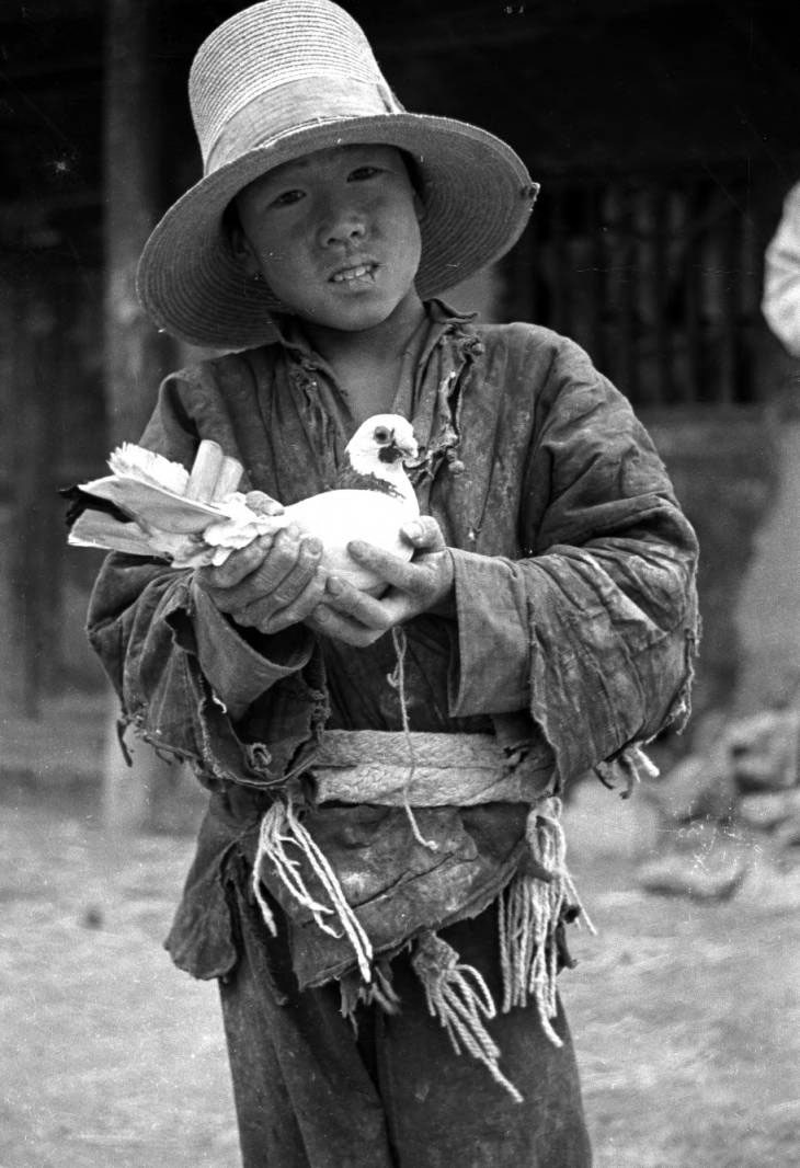 Boy holding a bird (Мальчик с птицей), c.1938