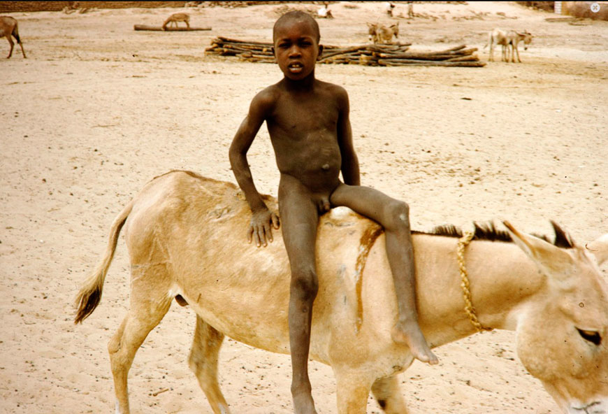 Nude boy riding donkey (Голый мальчик на ослике), 1960s